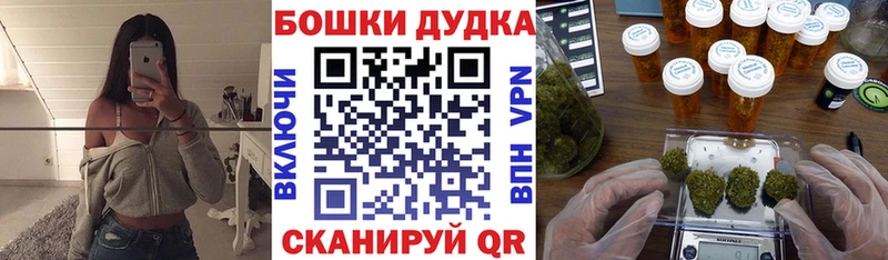 Бошки Шишки сатива  Купить закладки  Артём 